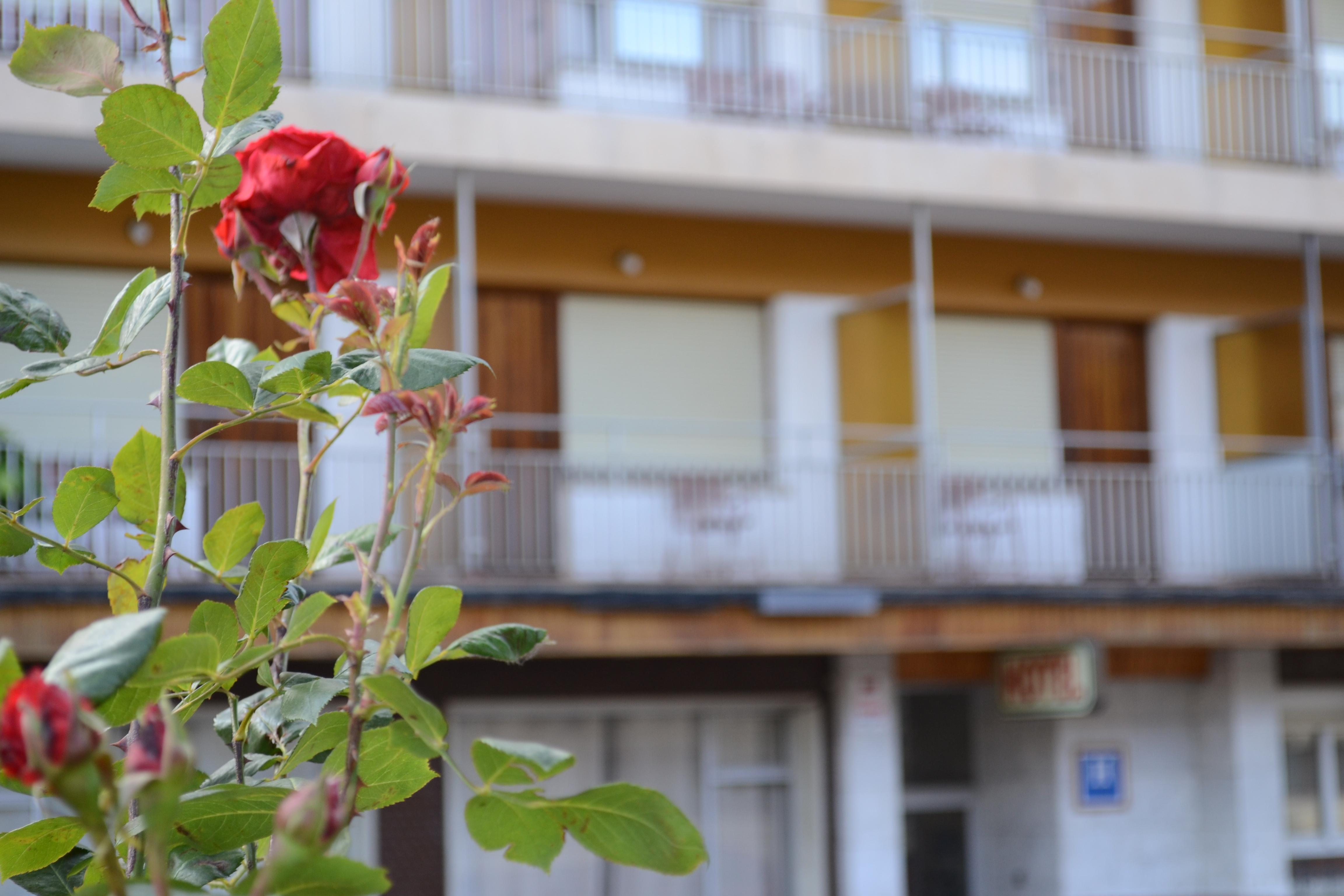 Hotel Mi Casa ซาบิญานิโก ภายนอก รูปภาพ